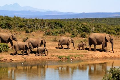 Nature and Conservation